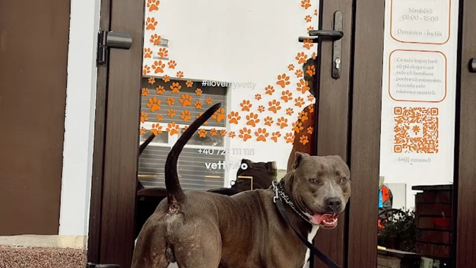 VETTY - Clinică și Farmacie Veterinară (Anima Vet Asist) — fotografie de copertă