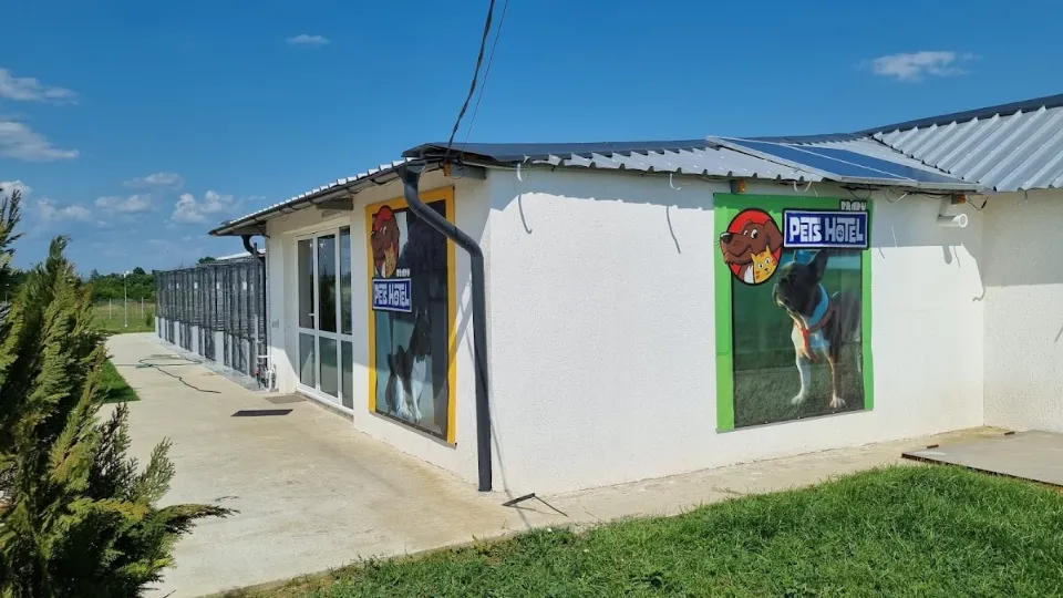 Pets Hotel Bradu — fotografie de copertă
