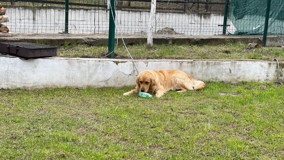 Fotografia de copertă a listării