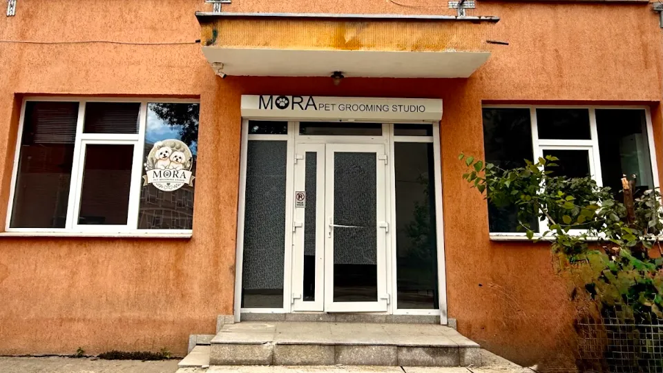 Mora Pet Grooming Studio — fotografie de copertă