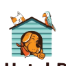 Logo Pet Hotel Dino