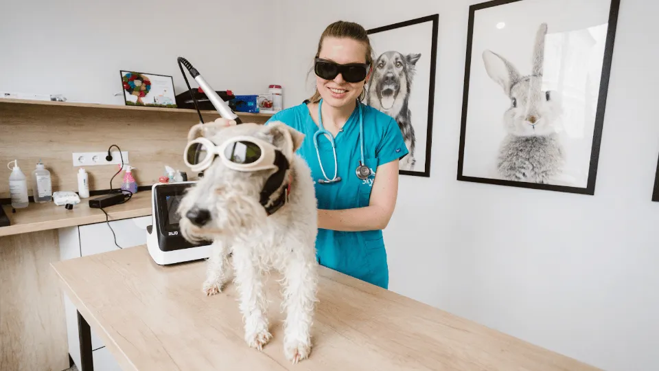 PartnerVet Sibiu Bieltz | SkyVet — fotografie de copertă