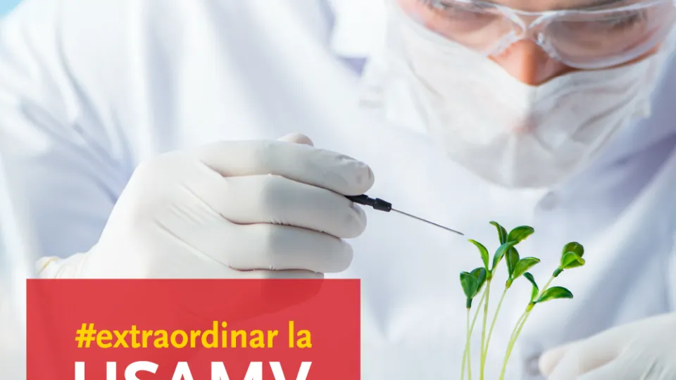 Fotografia de copertă a listării