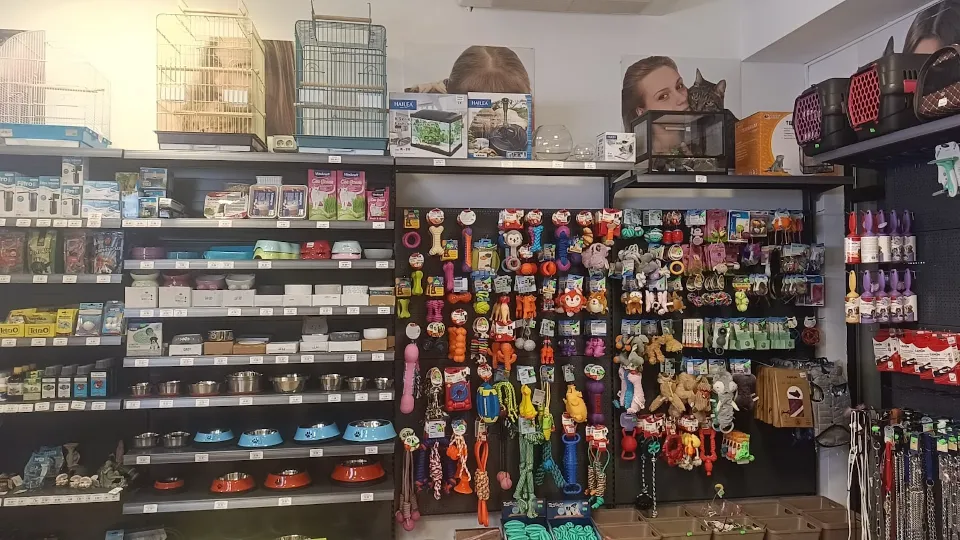 TERRA ZOO pet shop Vlaicu Arad — fotografie de copertă