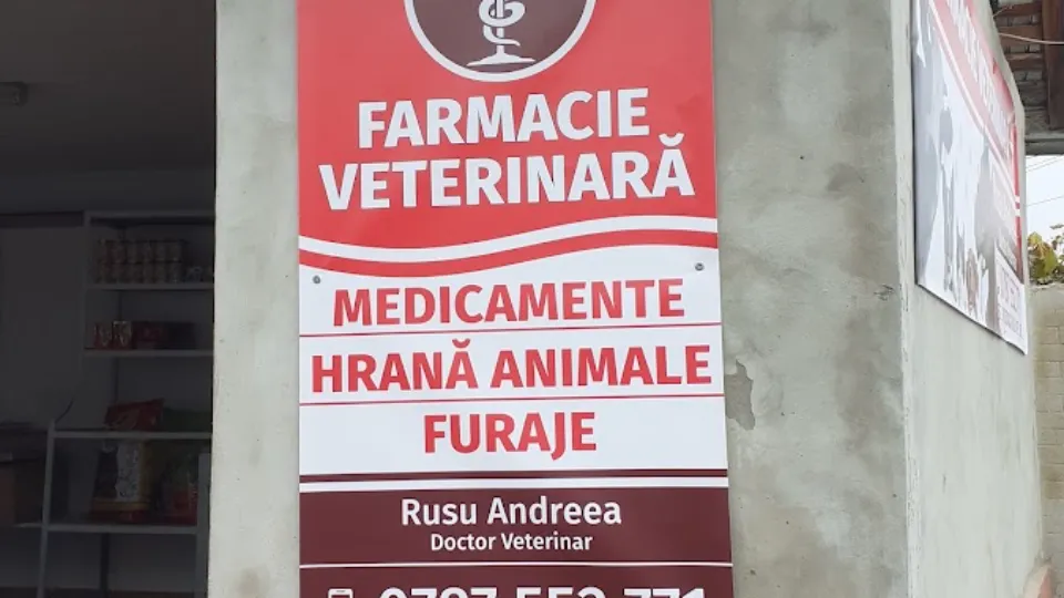 ROBDADA RUSU VET — fotografie de copertă
