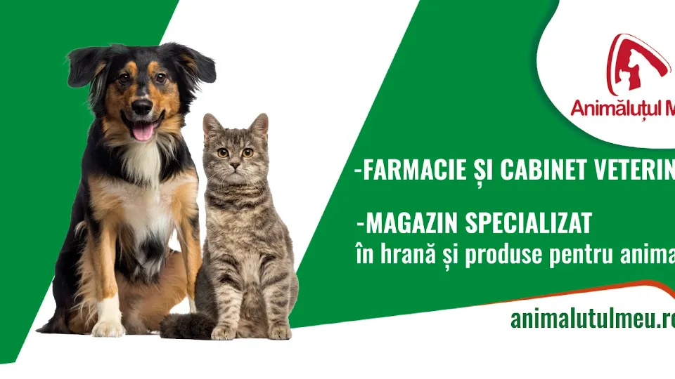 Animăluțul Meu — fotografie de copertă