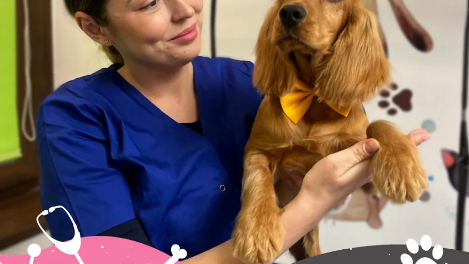 Cabinetul Veterinar Pufi Vet — fotografie de copertă