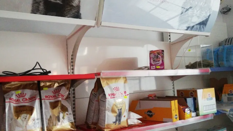 Lucky Dog Pet Shop — fotografie de copertă