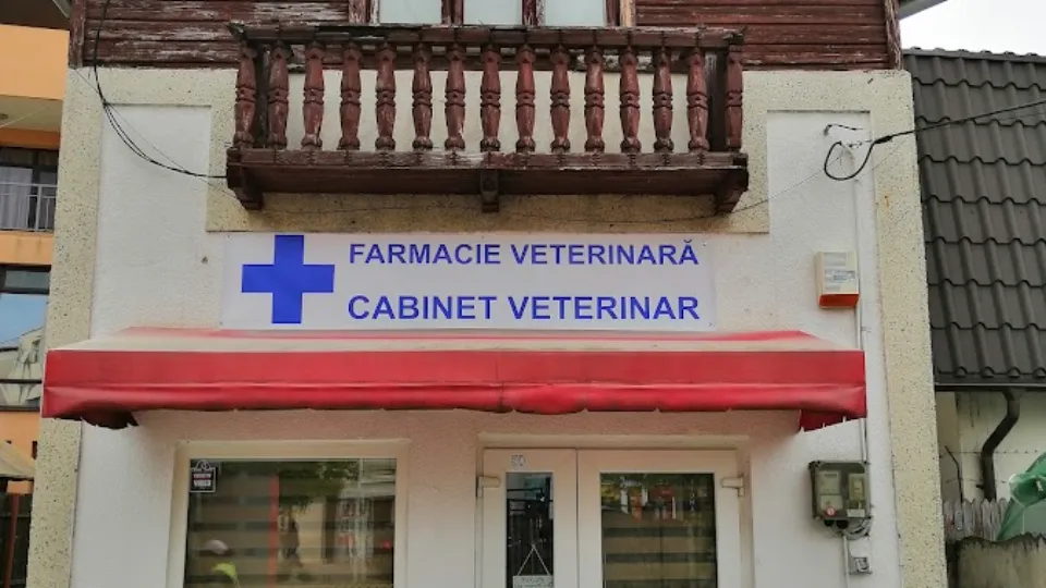Animal Care Vet Pet — fotografie de copertă