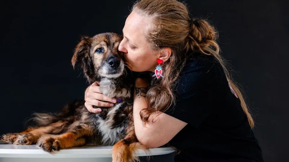 Sache Vet Clinic — fotografie de copertă