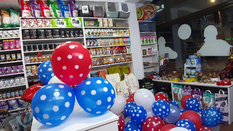 Cool Pet Shop & Grooming Salon, Coafor Canin — fotografie de copertă