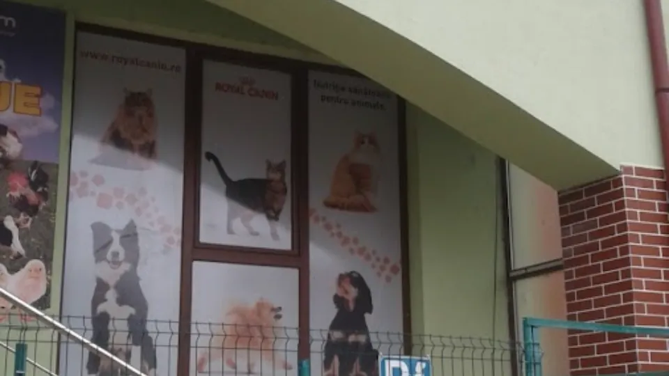 PetDepozit - hrana pentru animale — fotografie de copertă