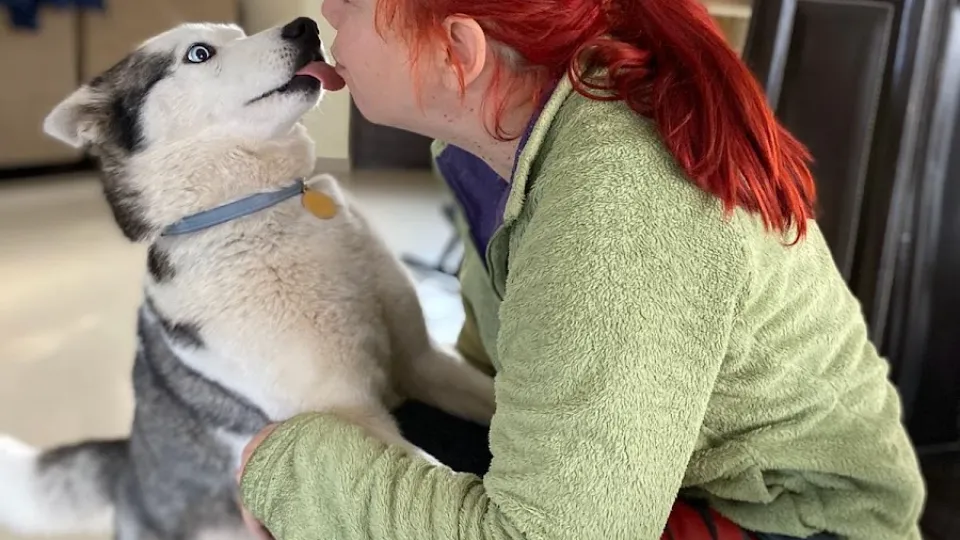 Mihaela - pet sitter — fotografie de copertă