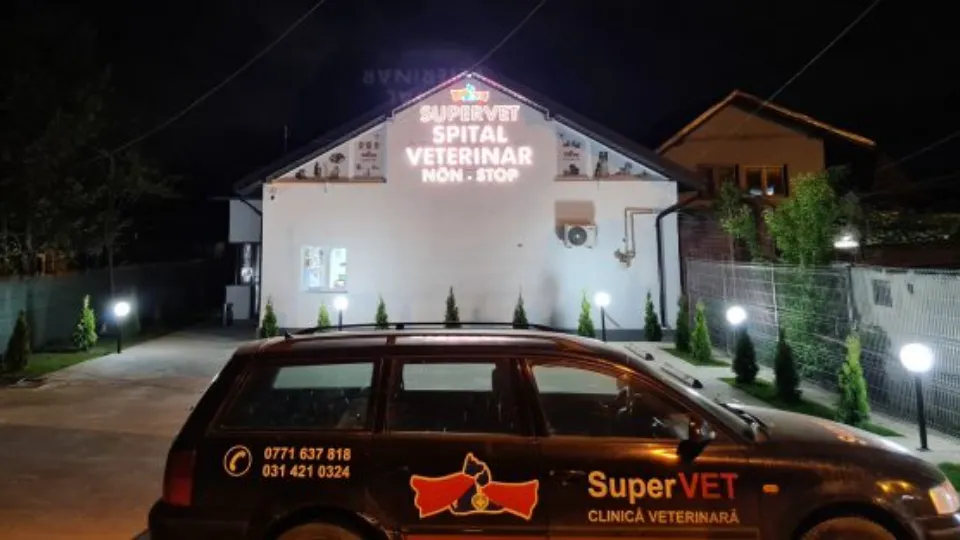 Fotografia de copertă a listării