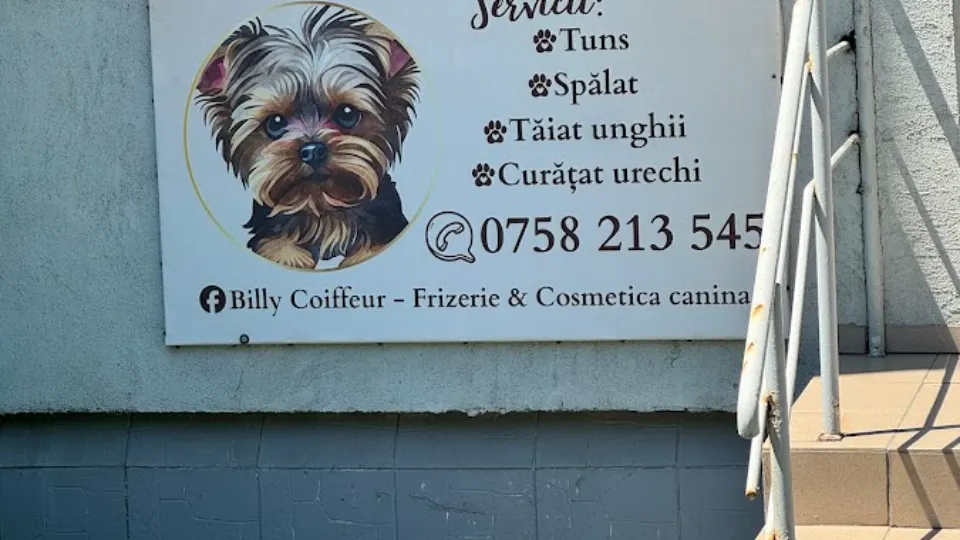 Billy Coiffeur — fotografie de copertă