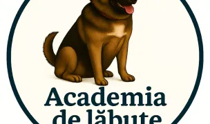 Academia de lăbuțe a lui Andrei — Dog Walking, Bucharest