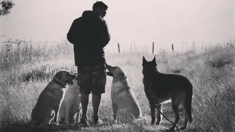 Educație Canina SRL - Dresaj Canin — fotografie de copertă