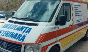 Ambulanța Vet 24/7 Pitești - Servicii veterinare la domiciliu - ambulantavet.ro — Cabinete Veterinare, Pitești, Argeș