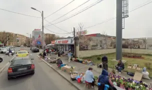 AniMall pet shop — Pet Shop, Craiova, Dolj