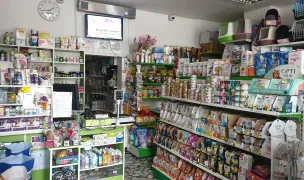 Animalutul Meu — Cabinete Veterinare, Municipiul Iași, Iași