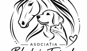 Asociația Blacky’s Friends — Animal Shelters, Moșnița Veche, Timișoara