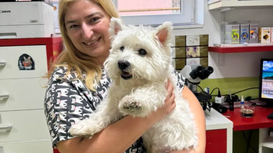 PartnerVet Timișoara | DuoVet — fotografie de copertă