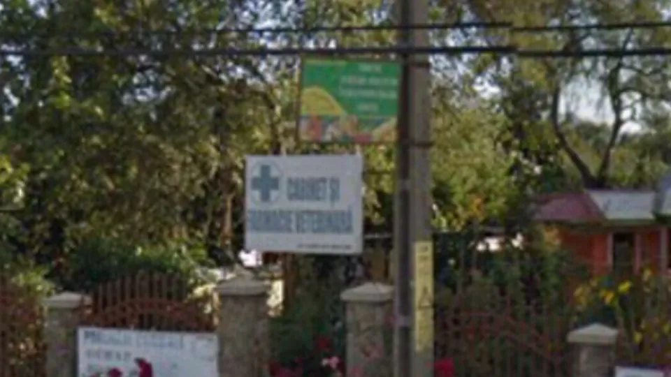 Cabinet si farmacie veterinara - CORBVET R&R — fotografie de copertă