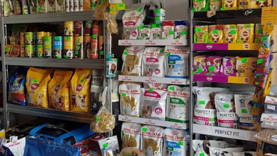 Pet Shop Autogara Craiova — fotografie de copertă