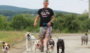 Béres Dog's Hotel srl — Hoteluri pentru Animale, Covasna