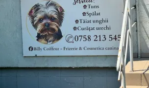 Billy Coiffeur — Salon Câini & Pisici, Municipiul Iași, Iași