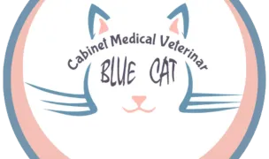 Blue Cat — Spitale Veterinare, Sectorul 2, București