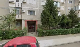BOGAN IOANA TEODORA — Animal Shelters, Timișoara