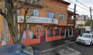 Bucuresti Pethotel — Pet Hotels, Sector 4, Bucharest