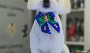 Buru Paula Cosmetica Canină PFA — Dog & Cat Salon, Timișoara