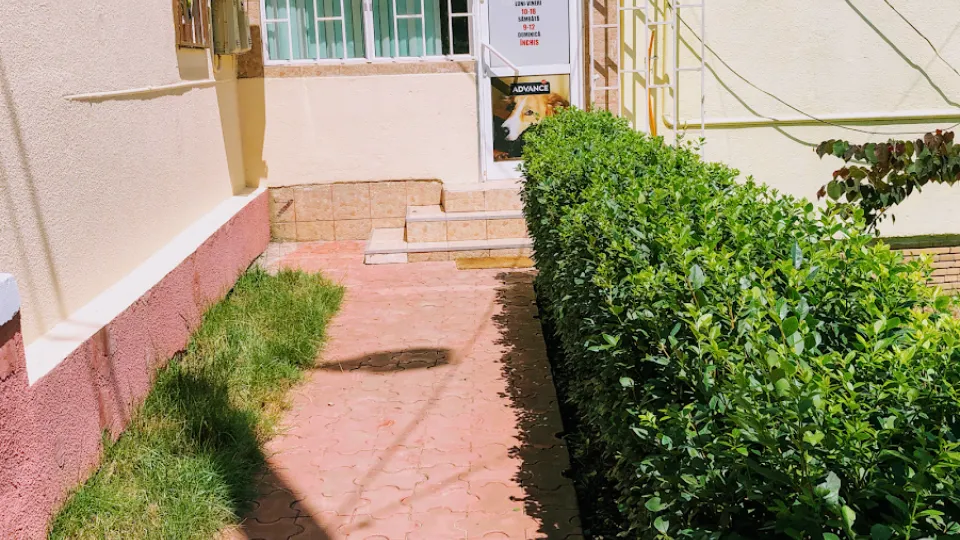 Canina Vet S.R.L. — fotografie de copertă