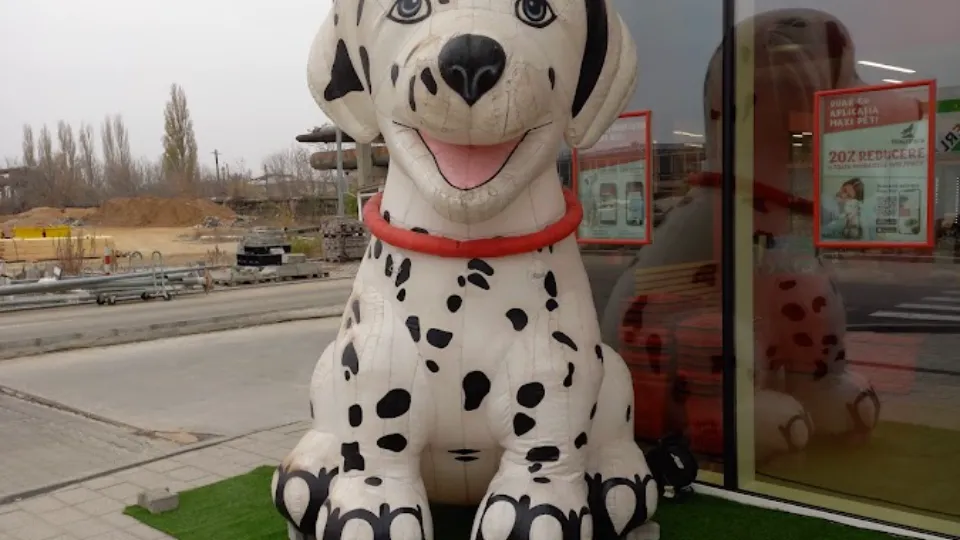 Maxi Pet Craiova Electroputere - Pet Shop & Farmacie Veterinară — fotografie de copertă