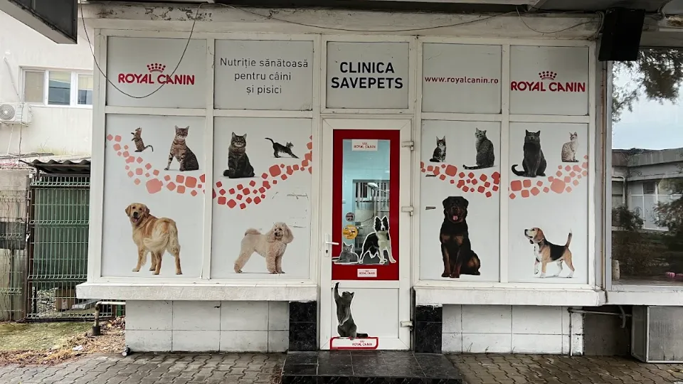 Savepets — fotografie de copertă