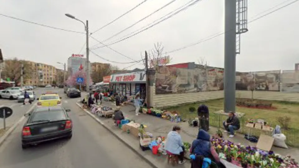 AniMall pet shop — fotografie de copertă