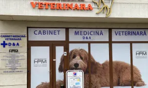 CABINET MEDICINA VETERINARA (D&A) DINAMYC VET HELP — Veterinary Clinics, Timișoara