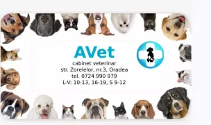 Cabinet veterinar Avet Oradea — Spitale Veterinare, Oradea, Bihor