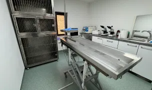 Cabinet Veterinar Dr Manea Alin — Farmacii Veterinare, Craiova, Dolj