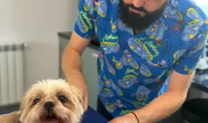 Cabinet veterinar Sfântul Modest — Spitale Veterinare, Miroslava, Iași