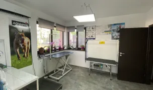 CABINET VETERINAR TITU - ALL SWEET PETS — Cabinete Veterinare, Dâmbovița