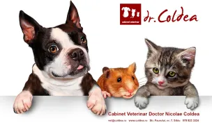 Cabinet Veterinary Doctor Nicolae Coldea — Spitale Veterinare, Municipiul Sibiu, Sibiu