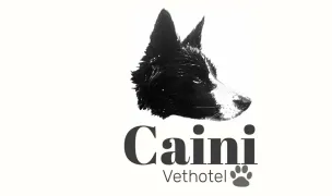 Cainivethotel canisa pensiunea caini in Tomnatic Bihor — Dog Walking, Cluj