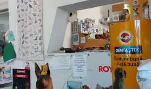 CANIFEL VET S.R.L. — Veterinary Practices, Timișoara