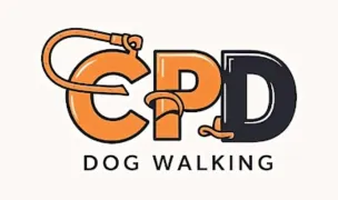Căței Pe Drum — Dog Walking, Mediaș, Sibiu