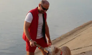 City Services Live — Adopție Câini, Sectorul 1, București