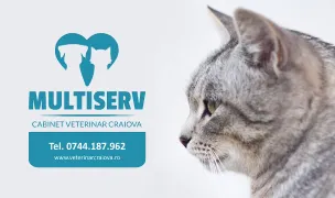 Clinică Veterinară Multiserv — Spitale Veterinare, Craiova, Dolj