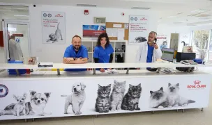 Clinicile Veterinare Universitare - USVT — Veterinary Clinics, Timișoara